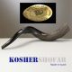 Black Beauty - Kosher Shofar - Yeminite
