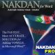 Nakdan Pro + All Focus Dictionaries for MS Word - on CD/USB