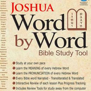 word by word bible study tool - joshua - yehoshua